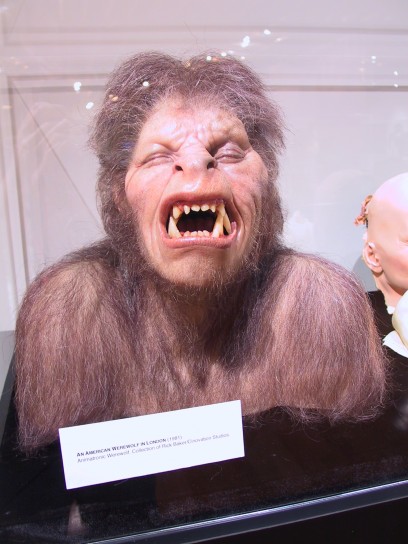 animatronics american werewolf 408x544 American Werewolf In London