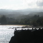 dragons teeth 150x150 Impression From Maui