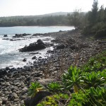 dragons teeth maui 150x150 Impressions From Maui, Part 2