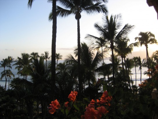 hyatt regency maui01 544x408 Maui Hyatt Regency