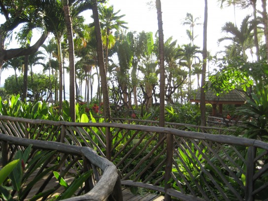 hyatt regency maui 03 544x408 Maui Hyatt Regency Garden