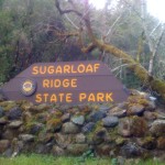 sugarloaf sonoma 150x150 Monthly Hike: Bald Mountain