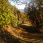 sugarloaf sonoma gray pine trail 150x150 Monthly Hike: Bald Mountain