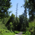 point reyes bear valley trail 02 150x150 Monthly Hike: Point Reyes