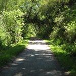 point reyes bear valley trail 03 150x150 Monthly Hike: Point Reyes