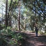 point reyes horse trail 02 150x150 Monthly Hike: Point Reyes