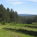 point reyes meadow trail 150x150 Monthly Hike: Point Reyes